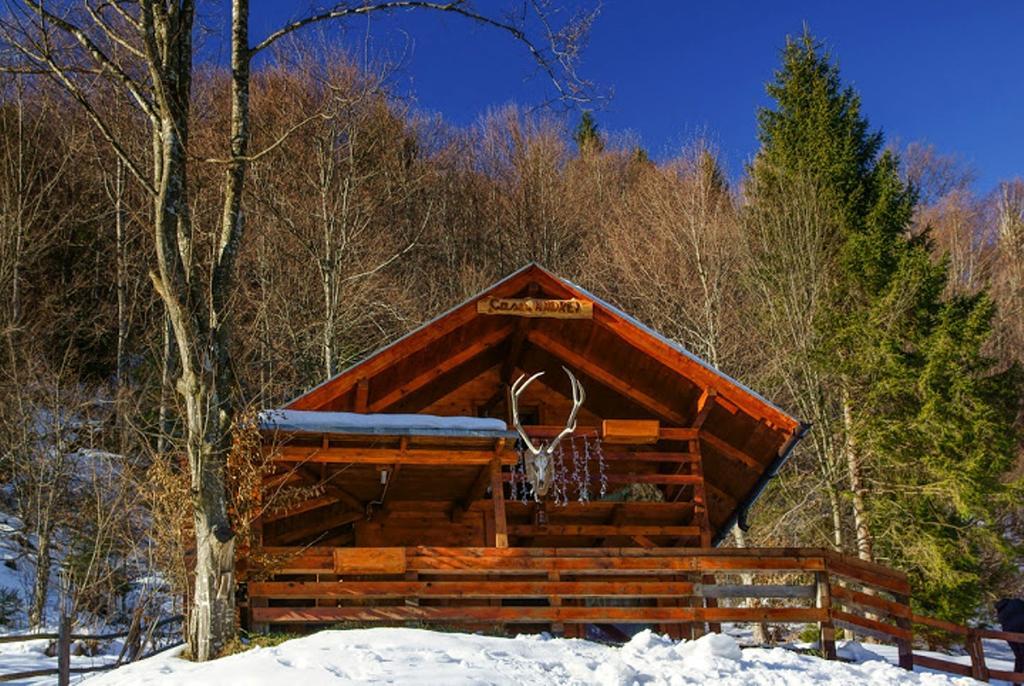 Cabana Casa Craita Zărneşti Szoba fotó