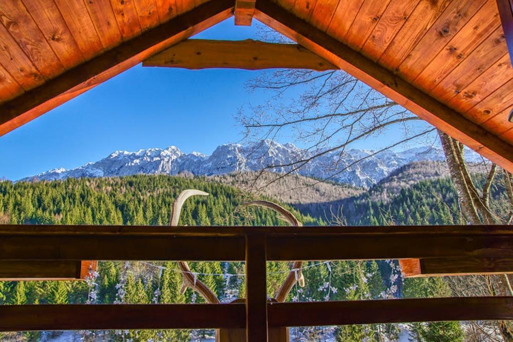 Cabana Casa Craita Zărneşti Szoba fotó