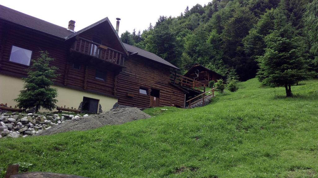 Cabana Casa Craita Zărneşti Kültér fotó