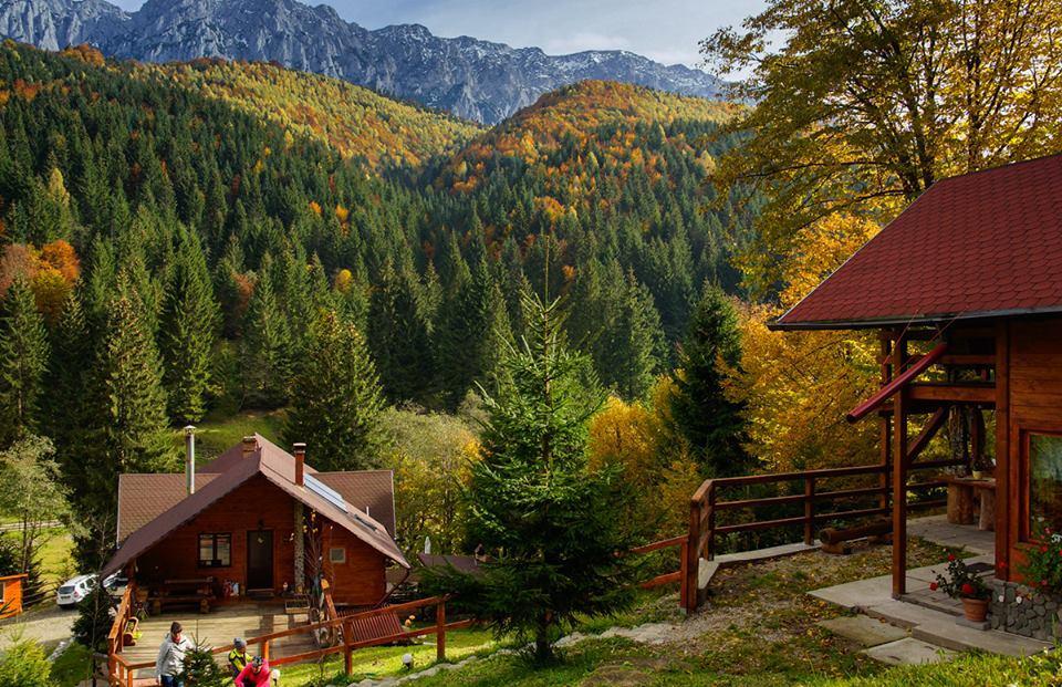 Cabana Casa Craita Zărneşti Kültér fotó