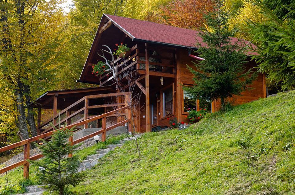 Cabana Casa Craita Zărneşti Kültér fotó