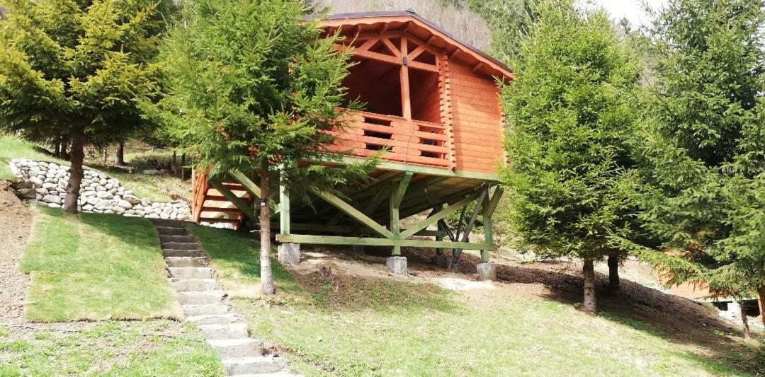 Cabana Casa Craita Zărneşti Kültér fotó